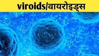 viroids in hindi viroids disease structure of viroidsviroids potato disease [upl. by Ena]