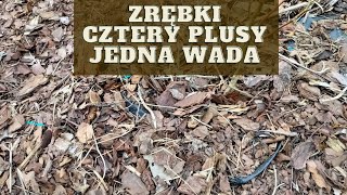 Jak wykorzystać zrębki w ogrodzie DUŻO PLUSÓW JEDEN MINUS [upl. by Graeme]