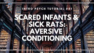 Scared Infants and Sick Rats Aversive Conditioning Intro Psych Tutorial 61 [upl. by Ystap795]