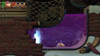 Donkey Kong Country Tropical Freeze 54 Panicky Paddles secret exit [upl. by Elbart]