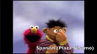 Sesame Street quotOne Fine Facequot multilanguage [upl. by Won943]