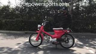 Redfoxpowersports review 50cc RTX Scooter Moped [upl. by Malena]