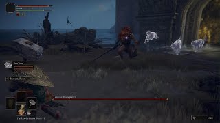 Beating Elden Ring Boss in Less than 1 Minute [upl. by Hiro]