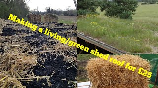 Making a shed living green roof for £25 shed garage lean too man cave cabin part 1 the before [upl. by Yot]