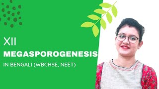 MEGASPOROGENESIS in Bangla  Class12 Unit6 Chapter2  NEET Biology [upl. by Daniala82]