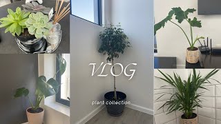 It’s a VLOG PLANTS PLANTS AND OUR FIRST INDOOR TREE Let’s do hair [upl. by Anayk910]