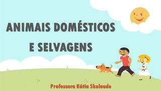 Animais domésticos e selvagens [upl. by Eirrab117]