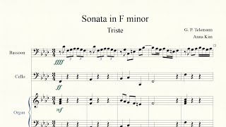 Telemann  Sonata for Bassoon and B C in F minor TWV 41f1 [upl. by Suivatna]