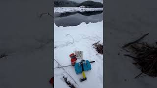 Winter Backcountry British Columbia shorts [upl. by Yelsnik]