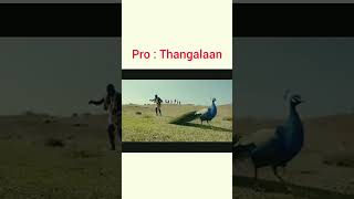 Thangalaan  Trailer Hindi  Chiyaan Vikram  K E Gnanavelraja  Ranji G V Prakash Kumarshorts [upl. by Mandler]