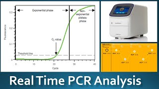 Real Time PCR Analysis qPCR Terms [upl. by Nayrda]