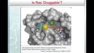 Oncogenes II amp Tumor Suppressors I [upl. by Leggett]