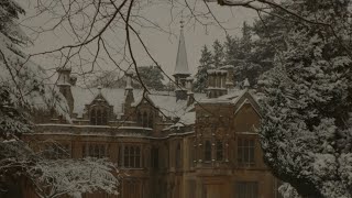 you’re studying in an ancient university as the snowflakes fall  dark academia playlist [upl. by Ennirroc]