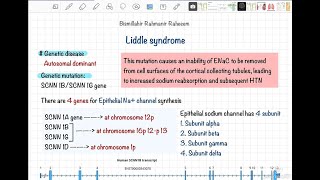 Liddle syndrome  Mutation in epithelial sodium channel gene [upl. by Anitsrik750]