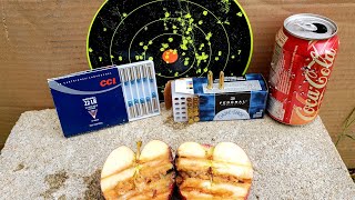 CCI 22LR Shotshell VS Federal 22LR Bird Shot 12 22 LR Ammo Test amp Review [upl. by Eitsym]