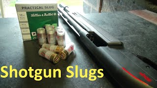 Shotgun Slugs Using the Bead rangetime [upl. by Irovi842]