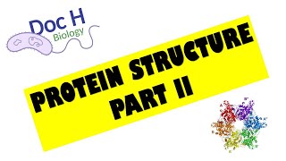 OCR ALevel Biology  Proteins  Part 2 212 Biological Molecules [upl. by Haya131]