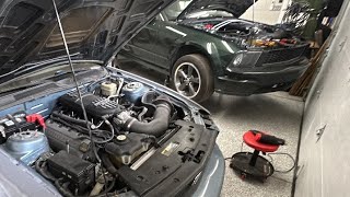 Hard Wiring an Early S197 Mustang to run a Coyote ECU How To Coyote Swapped Bullitt [upl. by Dunton877]