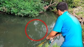 este CAÑO Está LLENO de SARDINATAS 😨🎣 De Pesca VAMOS [upl. by Prissie]