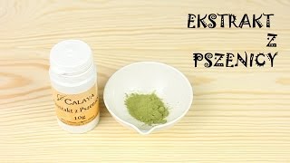 Ekstrakt z pszenicy  Calayapl [upl. by Nwotna]