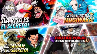 4 TEORÍAS de ONE PIECE sobre FRUTAS DEL DIABLO Barbanegra Gorosei Dragon y Vivi [upl. by Anura]