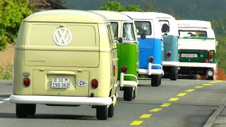 Classic VW Bus Jubilee Convoy  75 Volkswagen Campervan Transporter Kombi  VW Type 2 T1 VW T2 [upl. by Pellegrini]