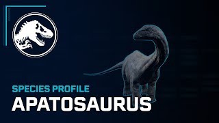 Species Profile  Apatosaurus [upl. by Babbie]