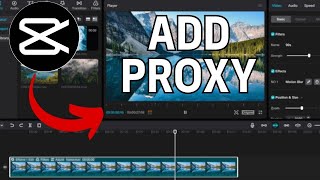 How to Add Proxy in Capcut PC 2024 [upl. by Mcclain]