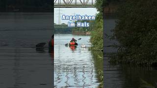 Angelhaken im Hals tierrettung animalrescue tiernotruf schwan [upl. by Shamus]