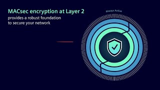 Safeguarding data with MACsec encryption for critical infrastructure industrial networks [upl. by Ahsirak]