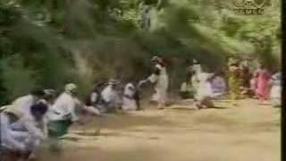 Ayoob Tarish  Yemeni Song [upl. by Kielty618]