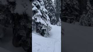 Riding Steepest Run On Cypress Mountain [upl. by Lecirg]