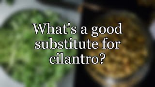 Whats a good substitute for cilantro [upl. by Zennas]