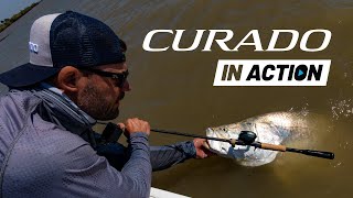 Shimano Curado 200 M review  BIG barramundi with Dean Silvester [upl. by Jacoba]