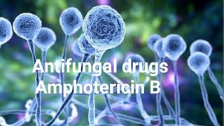 Antifungal drugspart1amphotericin B pharmacologypharmacologyBiochemistry [upl. by Converse]