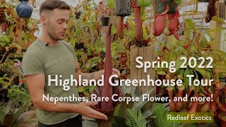 NEPENTHES and More Spring 2022 Highland Greenhouse Tour [upl. by Johnstone]