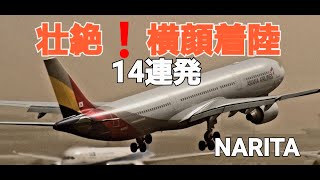 ✈✈RJAA成田空港 Crosswind landing 風速２０ノット 強風横風着陸 怒涛の１4連発 ウィンドシアWindshear警報発令 Narita RWY16R [upl. by Lenny]