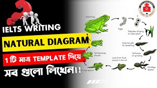 ielts writing task 1 Natural Diagram class bangla।।ielts class banglay bd [upl. by Oir]