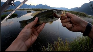 Breaking in Mavlos delicacy BFS fishing rod  Lower Mainland Vancouver fishing [upl. by Tibbitts]