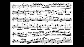 Tsjaikovski PI mvt1 begin violin concerto [upl. by Abisia347]