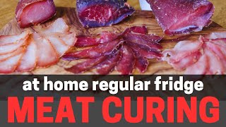 Meat Curing at Home in Your Regular Fridge [upl. by Ulita]