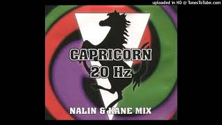 01  Capricorn  20 Hz Nalin amp Kane Remix [upl. by Melisenda]