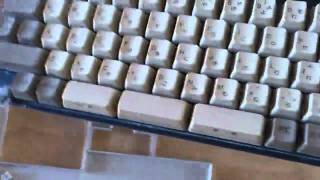 NEC PC8801 Keyboard Teardown ALPS Blue Switch [upl. by Borchers]