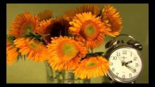 Sunflowers  48 Hour Time Lapse  1800FLOWERSCOM [upl. by Zerline]