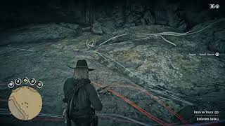 Rdr2  Suvivalist 7  small game arrow kills [upl. by Eliades26]