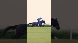 🇬🇧 Rebel’s Romance working up the gallops at Moulton Paddocks a few weeks back🏇 [upl. by Harrus]