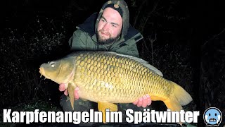 Karpfenangeln im Spätwinter 🥶  Futtertipps für die kalte Jahreszeit ❄️ [upl. by Carr]