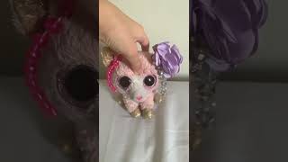 They made her emo tiktok beanie boo [upl. by Cassius280]