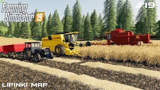 Big harvest  Small Farm  Farming Simulator 2019  Episode 19 [upl. by Ahsinnor]