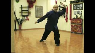 Choy Li Fut Long fist set [upl. by Aittam]